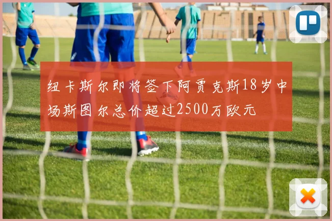 纽卡斯尔即将签下阿贾克斯18岁中场斯图尔总价超过2500万欧元